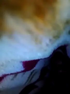 alone boy802 online show from 10-01-25, 06:01