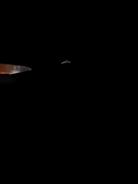 Snapshot of 214KingLonggg chatting on 03-25-26, 06:46 214KingLonggg online show from 03-25-26, 06:46