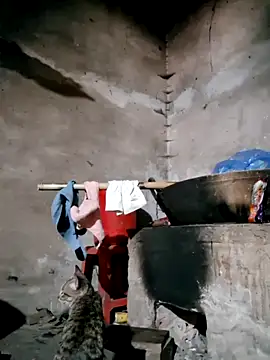 xuxulovezz online show from 02-12-26, 04:45