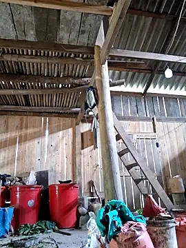 xuxulovezz online show from 04-04-26, 04:41