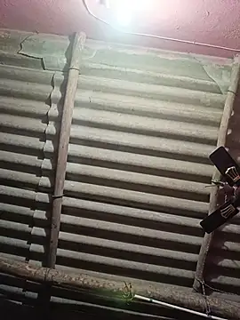 reya743 online show from 11-15-25, 10:19