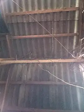 vtmbae online show from 11-02-25, 01:10