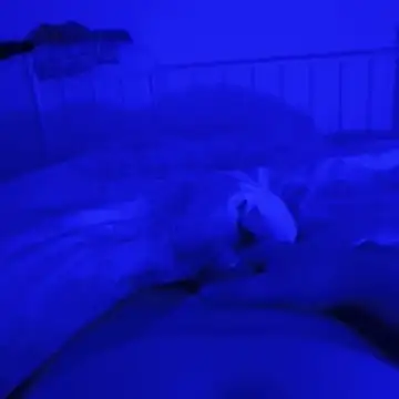 Geilerboy262 online show from 11-09-25, 12:36