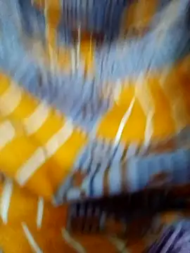 tamil Boomika online show from 12-23-25, 12:11