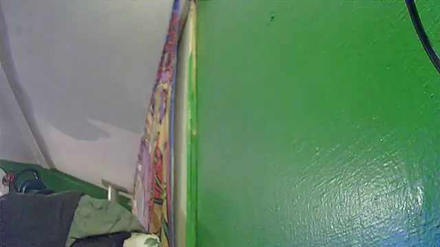 Snapshot of HippieDad333 chatting on 11-11-25, 03:12 HippieDad333 online show from 11-11-25, 03:12