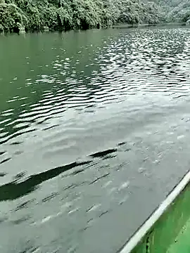 Lie liee online show from 10-24-25, 01:26