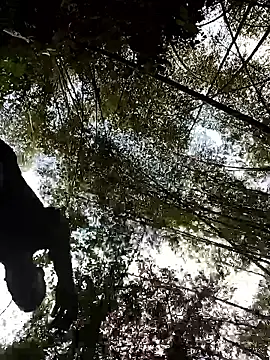 LucasGaeel online show from 04-05-26, 08:37