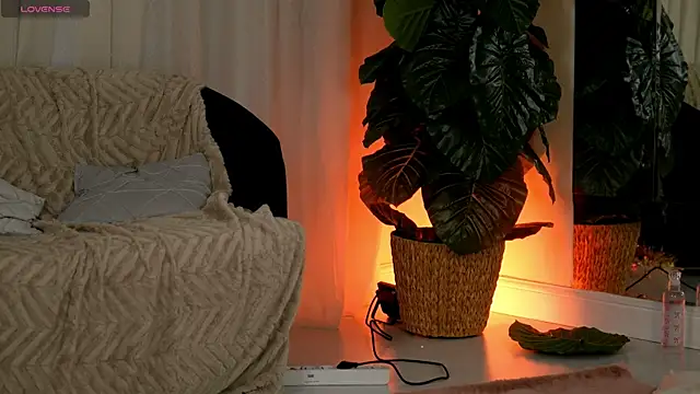 EvaAmanti online show from 01-11-26, 04:41