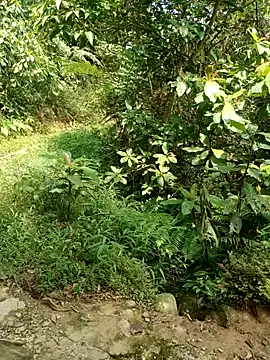 Snapshot of nhinhi-sexy chatting on 10-10-25, 05:52 nhinhi-sexy online show from 10-10-25, 05:52