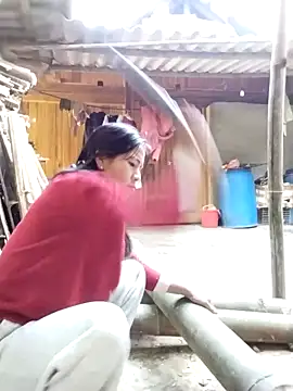 lmc-zz online show from 11-30-25, 02:56