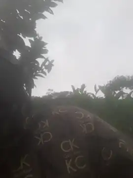 bree-zz online show from 11-13-25, 12:47