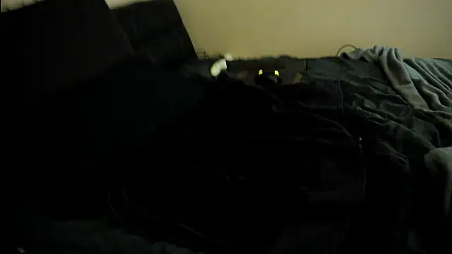 toolmaster2000 online show from 01-15-26, 02:15