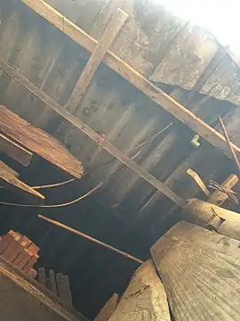 July sexy69 online show from 04-06-26, 03:13