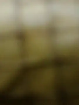 Rs sonam online show from 12-03-25, 10:58