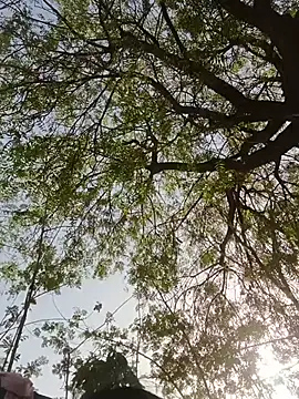 Rs sonam online show from 05-27-26, 01:57