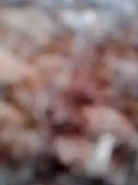 Rs sonam online show from 02-06-26, 02:51