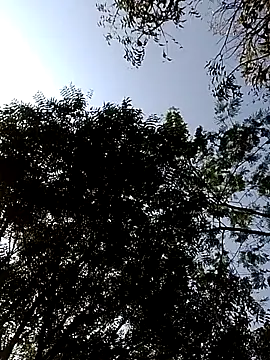 Rs sonam online show from 02-14-26, 03:51