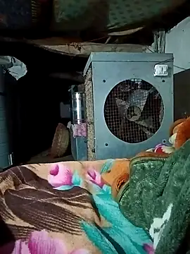 Lona2525 online show from 02-16-26, 08:40