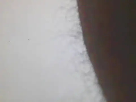 Snapshot of Horny_MALLU_6 chatting on 02-07-26, 04:37 Horny MALLU 6 online show from 02-07-26, 04:37