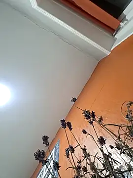 Hotboy-534 online show from 03-25-26, 10:52