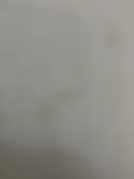 Snapshot of Rahulkumar_89 chatting on 12-02-25, 05:53 Rahulkumar 89 online show from 12-02-25, 05:53