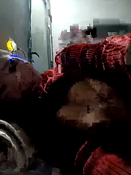 kemmut-sex online show from 01-12-26, 02:24