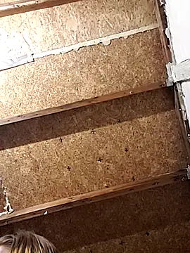 Queen2454 online show from 03-06-26, 09:37