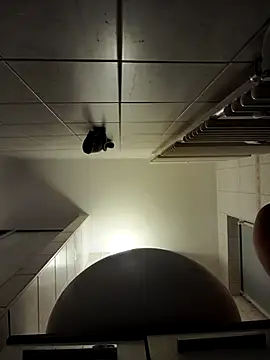 stivi2526 online show from 11-27-25, 07:25