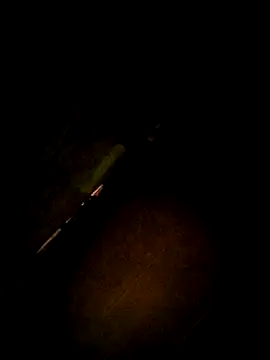 Apeesynka55211 online show from 12-14-25, 08:09