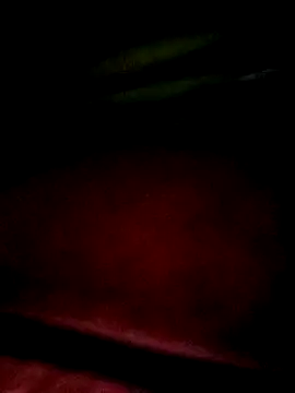 Apeesynka55211 online show from 01-18-26, 07:17