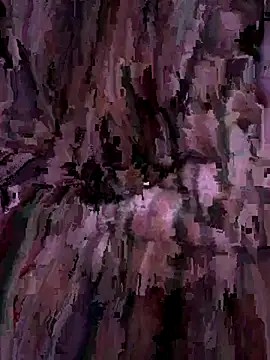 Snapshot of UrfavDilf69 chatting on 11-17-25, 11:14 UrfavDilf69 online show from 11-17-25, 11:14