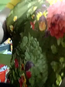 harinisree online show from 11-19-25, 03:06