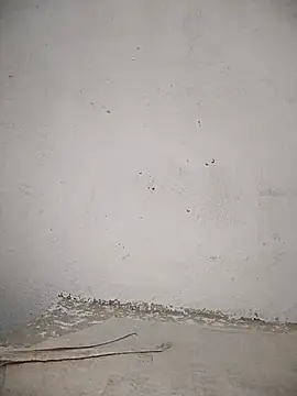 PEEHU-50 online show from 11-12-25, 11:30