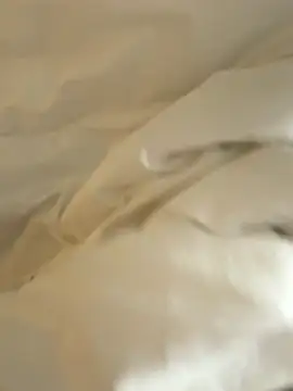 HenryLee1983-cums online show from 11-28-25, 12:44