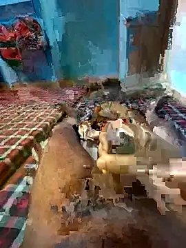 jerry 03467 online show from 10-31-25, 06:04