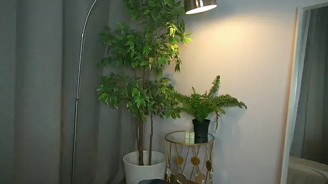 PollyMayer online show from 12-05-25, 09:12