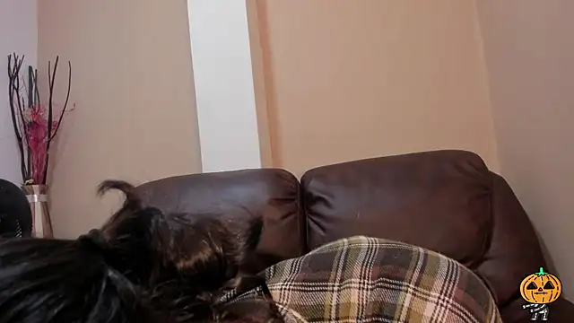 Dickie Dicking online show from 10-15-25, 08:28