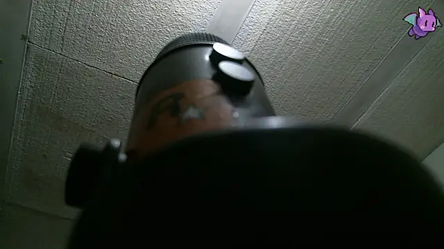 Dickie Dicking online show from 02-11-26, 10:09