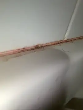 Snapshot of StroknGoon69 chatting on 11-04-25, 11:52 StroknGoon69 online show from 11-04-25, 11:52