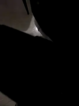 Snapshot of jeff2995_ chatting on 12-04-25, 04:55 jeff2995 online show from 12-04-25, 04:55