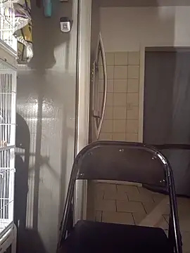 Snapshot of Curious9884 chatting on 10-02-25, 12:36 Curious9884 online show from 10-02-25, 12:36