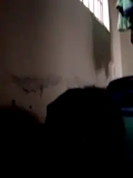 Snapshot of ibusserd chatting on 11-24-25, 06:24 ibusserd online show from 11-24-25, 06:24