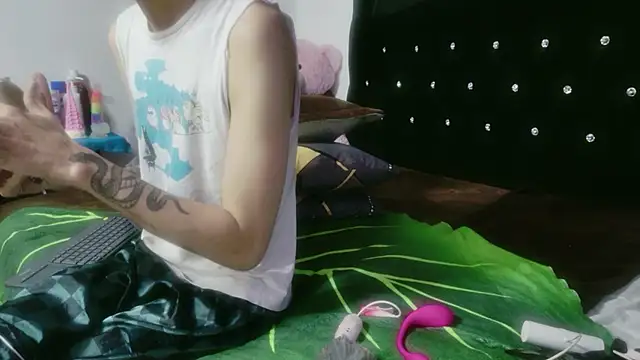 Tyler cat online show from 04-25-26, 04:26