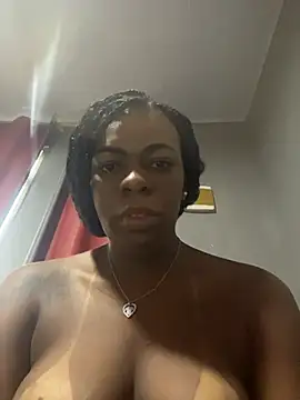 Priihmedeiros online show from 04-14-26, 09:25