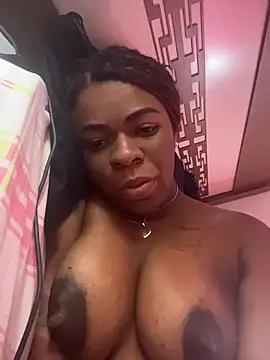 Priihmedeiros online show from 03-13-26, 12:10