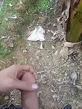 Sikici0734 online show from 01-11-26, 09:16