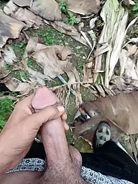 Sikici0734 online show from 11-13-25, 09:24