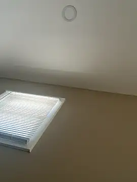 murphdolla online show from 12-05-25, 04:16