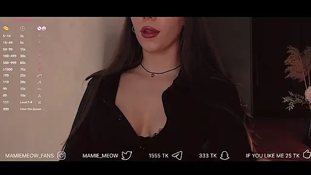 Snapshot of Mamiemeow chatting on 02-06-25, 02:58 Mamiemeow online show from 02-06-25, 02:58