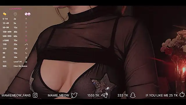 Mamiemeow online show from 12-04-25, 03:11